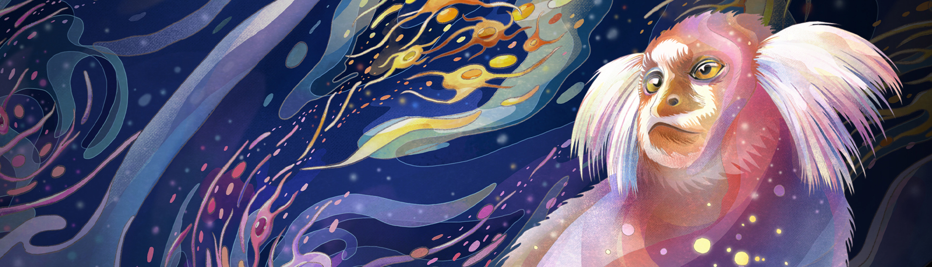 脑智卓越中心合作发现大脑皮层双梯度组织规律