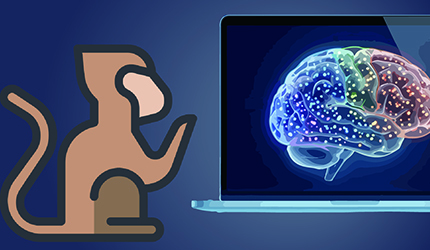 猕猴皮层疾病相关基因的顺式调控元件单细胞空间图谱